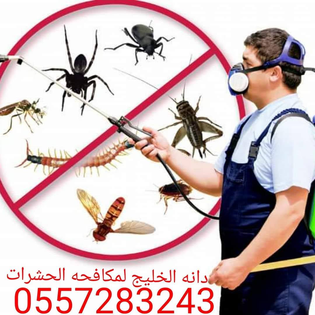 شركه مكافحه حشرات خدمه 24 ساعه على مستوى الإمارات نعمل من أجلكم احمي بينك من الحشرات اتصل بنا نوصلك 